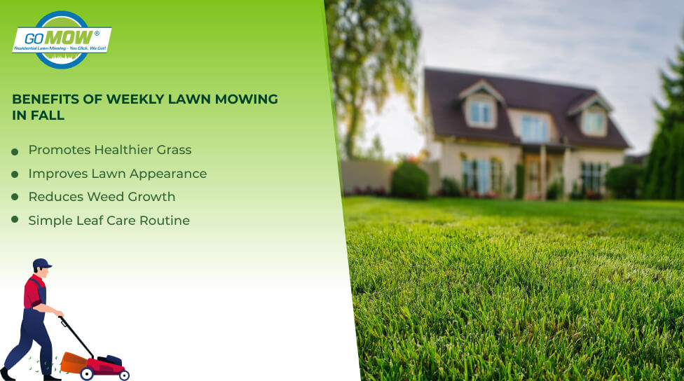 Why Weekly Lawn Mowing is Beneficial Why Weekly Lawn Mowing is Beneficial