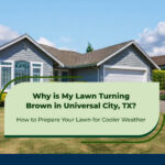 why-is-my-lawn-turning-brown-in-universal-city-tx-heat-watering-and-mowing-explained