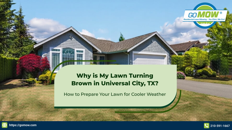 Why Your Lawn is Turning Brown in Universal City, TX