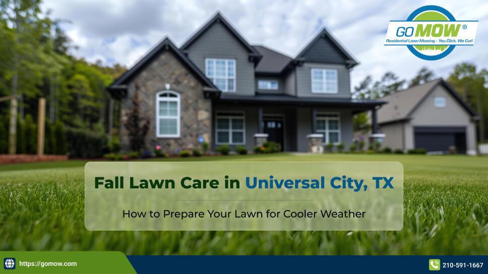 Fall Lawn Care for Cooler Weather in Universal City TX