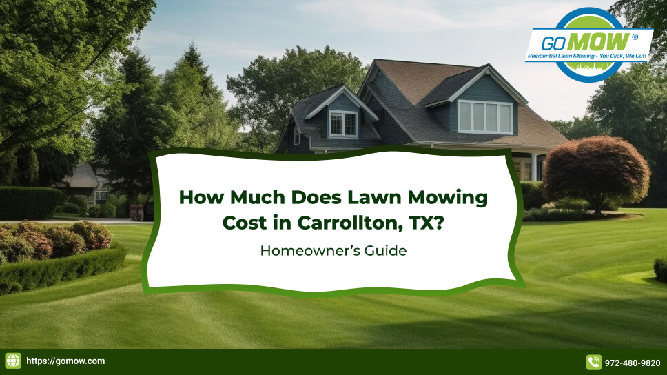 Lawn Mowing Cost Guide for Homeowners in Carrollton TX