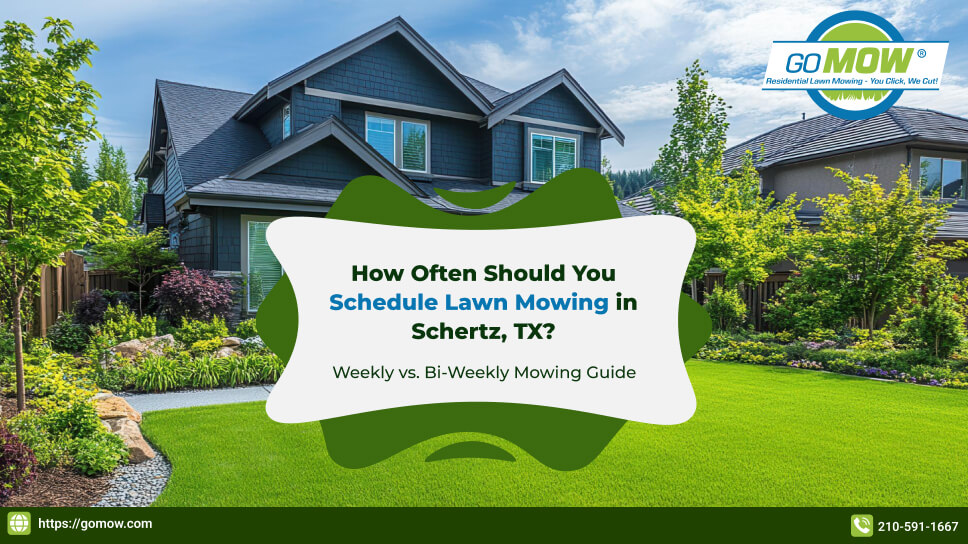 How Often Should You Schedule Lawn Mowing in Schertz, TX?