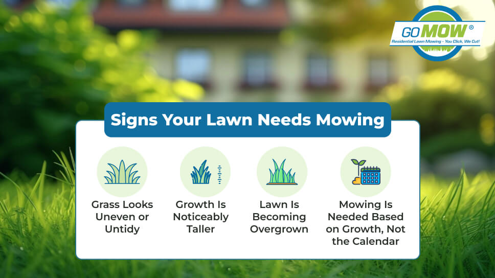Signs Your Lawn Needs Mowing Signs Your Lawn Needs Mowing