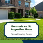 bermuda-vs-st-augustine-grass-how-are-their-mowing-needs-different-in-texas