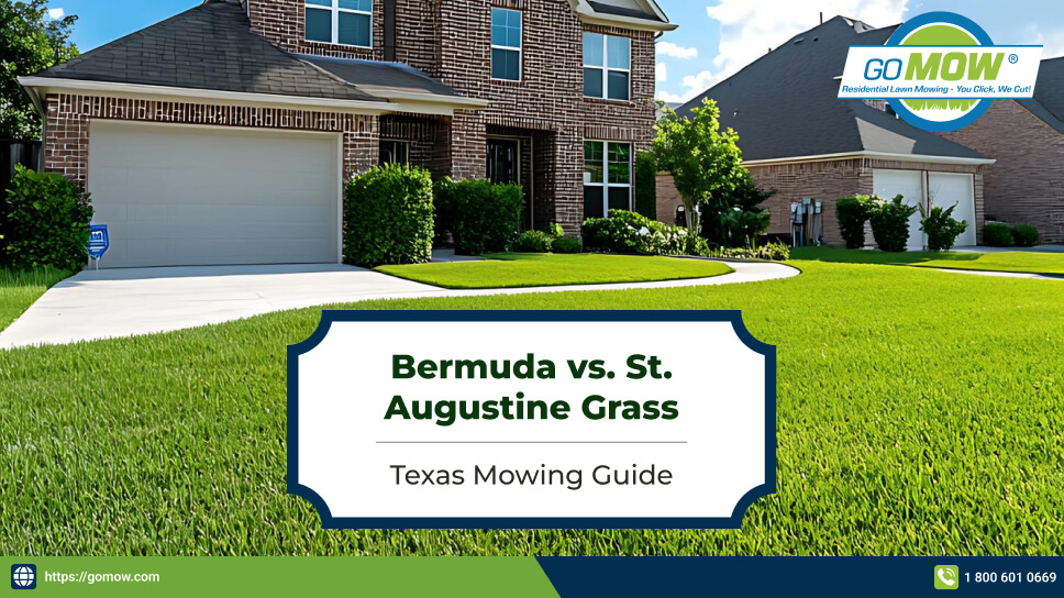 bermuda-vs-st-augustine-grass-how-are-their-mowing-needs-different-in-texas