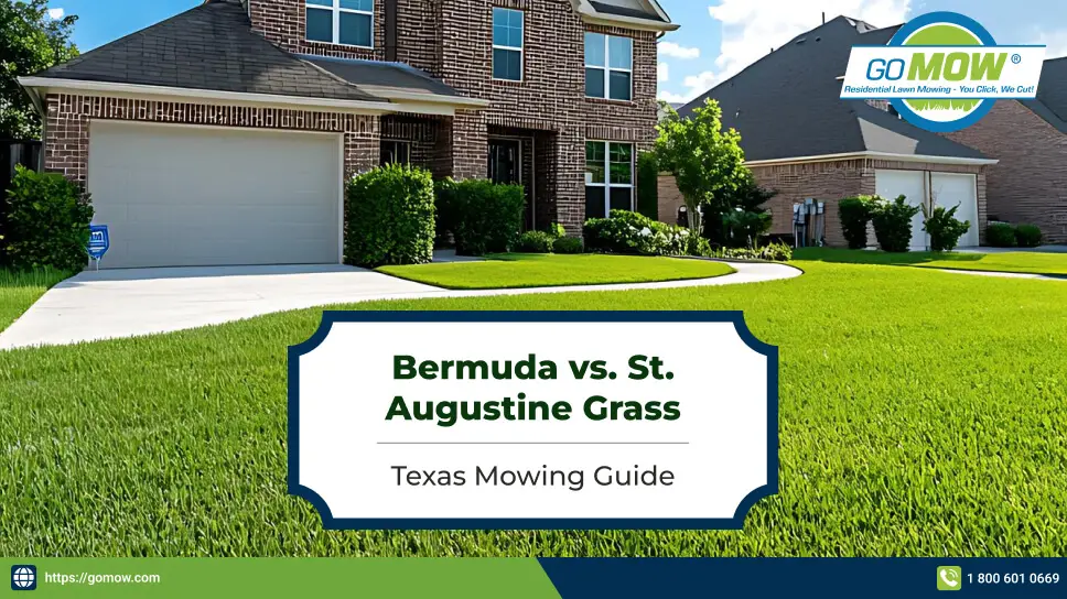 bermuda-vs-st-augustine-grass-how-are-their-mowing-needs-different-in-texas