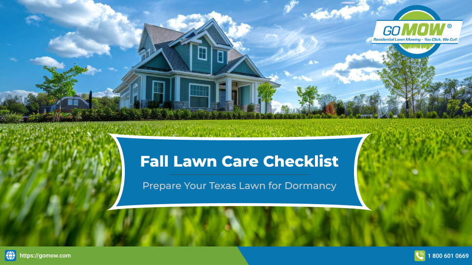 Fall Lawn Care Checklist for Texas Homeowners