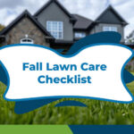 can-regular-mowing-help-reduce-lawn-weeds-naturally-in-texas