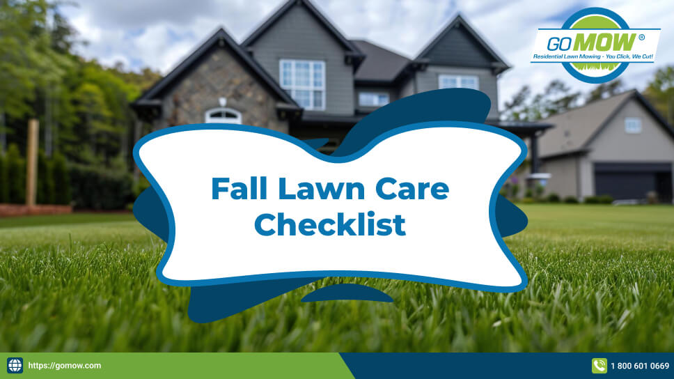 can-regular-mowing-help-reduce-lawn-weeds-naturally-in-texas