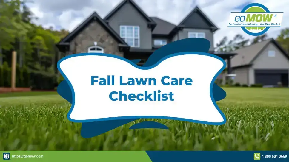 can-regular-mowing-help-reduce-lawn-weeds-naturally-in-texas