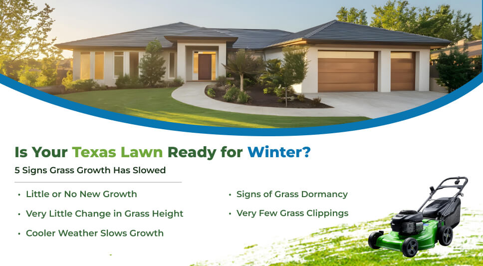 5 Signs Your Texas Lawn is Ready for Winter