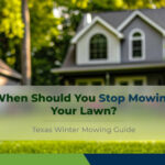 when-should-you-stop-mowing-your-lawn-in-texas-for-the-winter