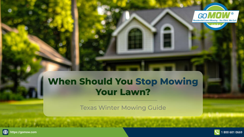 when-should-you-stop-mowing-your-lawn-in-texas-for-the-winter