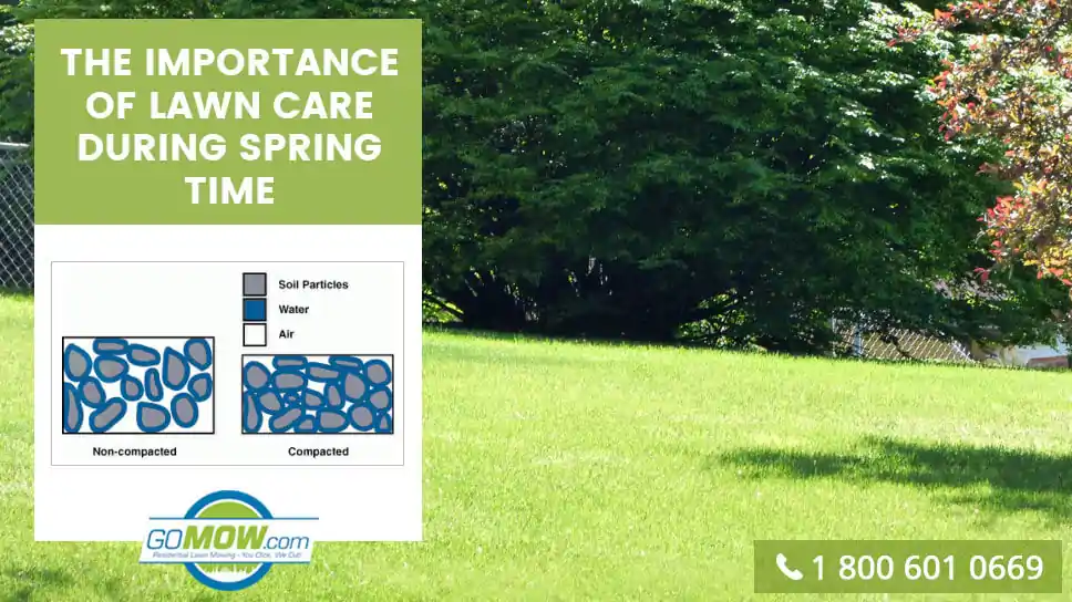 The Importance Of Lawn Care During Spring Time