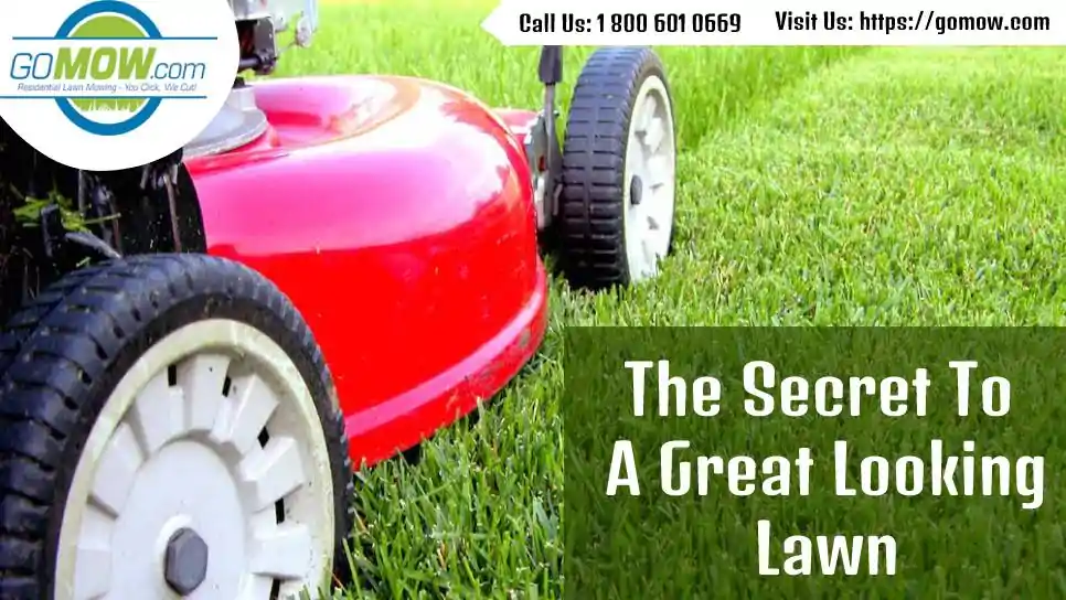 The Secret To A Great Looking Lawn