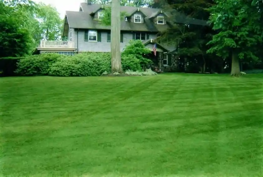 GoMow Has A Proven Record As A Reliable Lawn Service