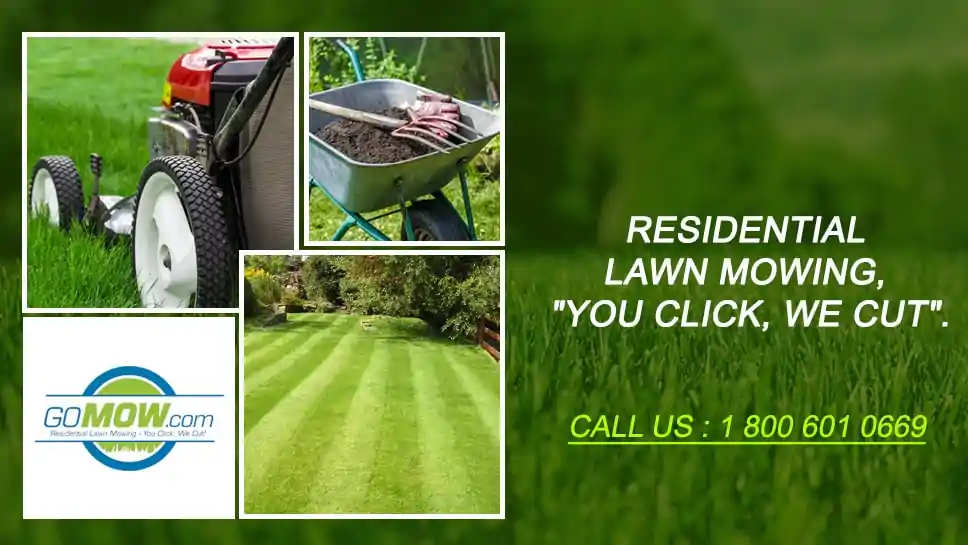 Reasons For Choosing GoMow For Maintaining Your Residential Lawn