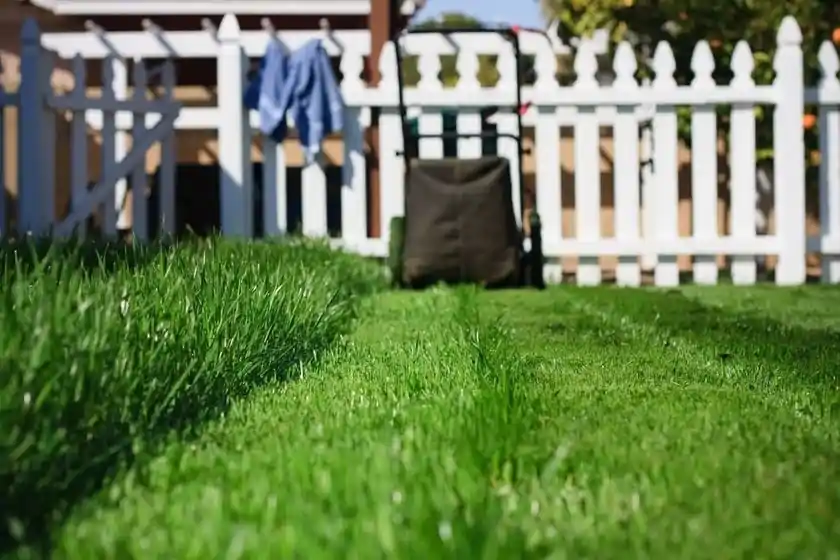 5-lawn-mowing-mistakes-to-avoid