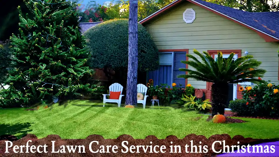 Let’s Have A Perfect Lawn Care Service In This Christmas