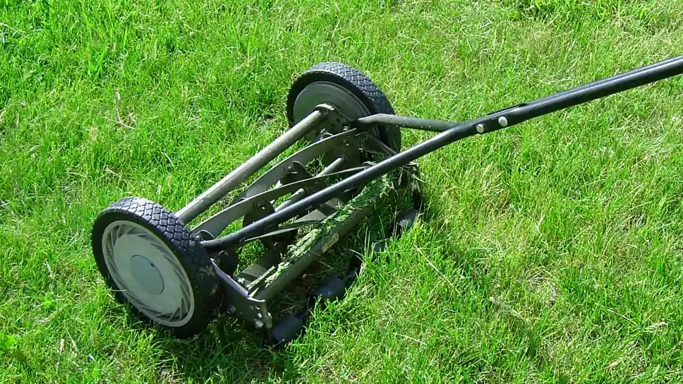 Reduce Your Work By Following Few Basic Steps For Grass Cutting