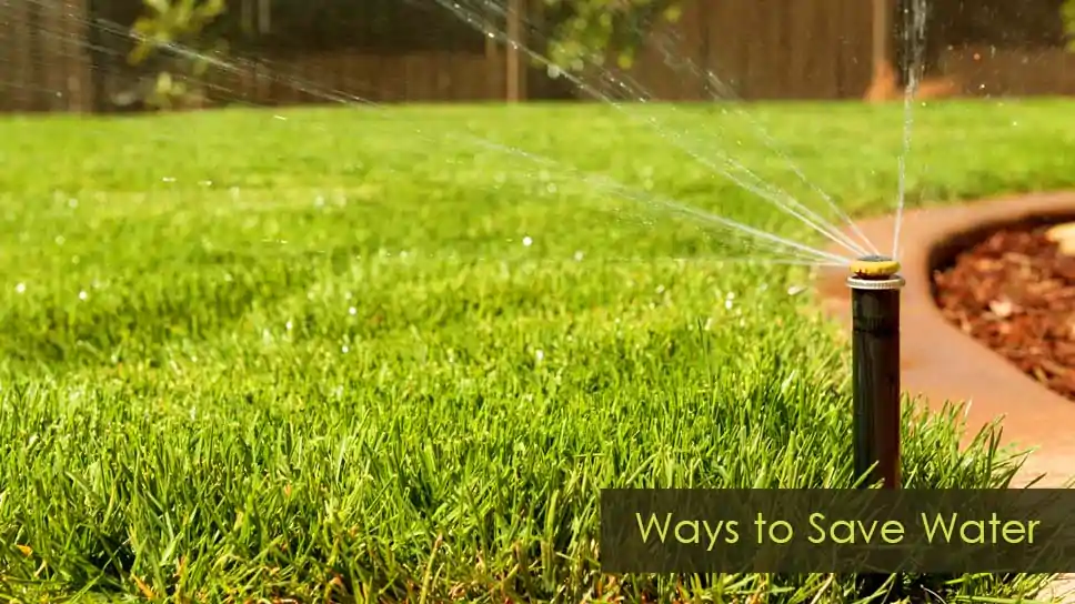 What Are The Best Ways To Save Water When Maintaining A Lawn?