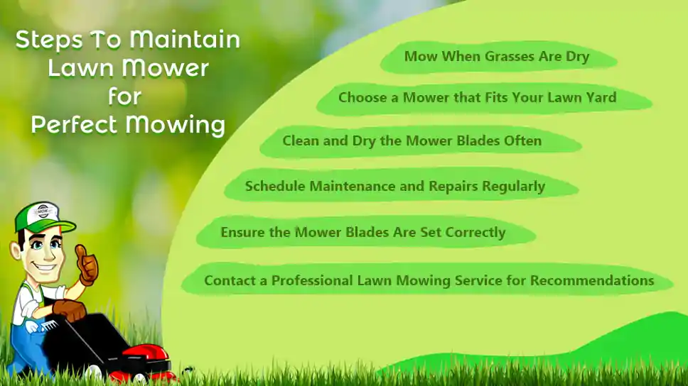 How To Maintain Lawn Mower For Perfect Lawn Mowing