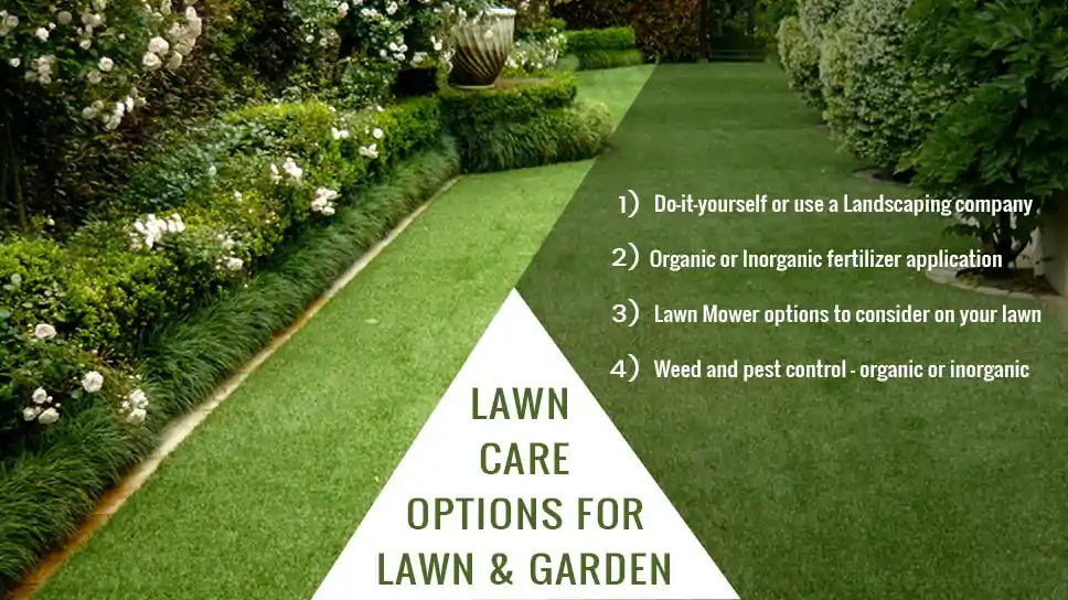 Texas Lawn Care Options For Your Lawn And Garden