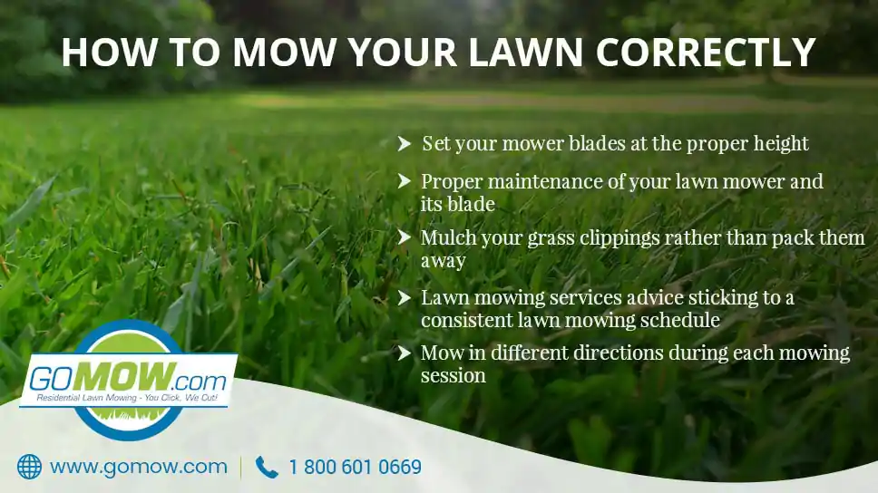 how-to-mow-your-lawn-correctly-in-austin