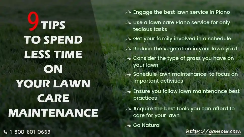 9-tips-to-spend-less-time-on-your-lawn-care-maintenance-in-plano