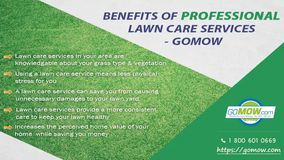 5 Benefits Of Professional Lawn Care Services – GoMow