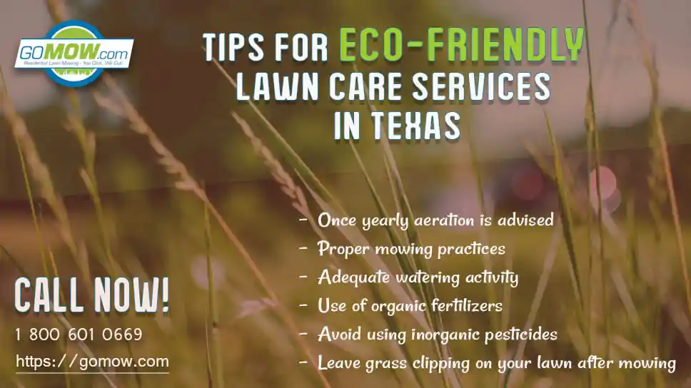 Tips For Eco-Friendly Lawn Care Services In Texas