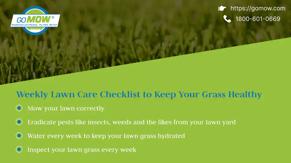 weekly-lawn-care-checklist-to-keep-your-grass-healthy