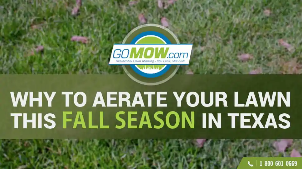 why-aerate-your-lawn-this-fall-season-in-texas