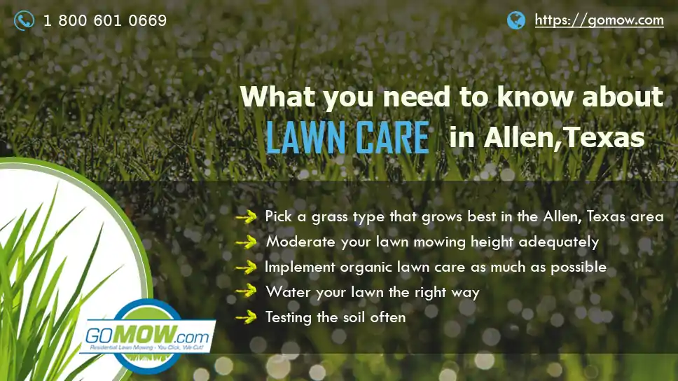 what-you-need-to-know-about-lawn-care-in-allen-texas