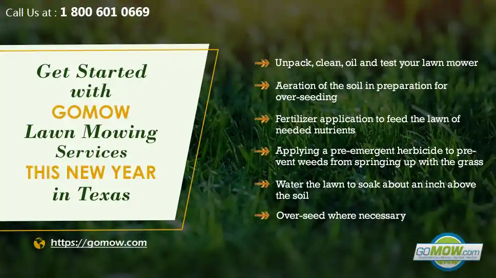 get-started-with-gomow-lawn-mowing-services-this-new-year-in-texas