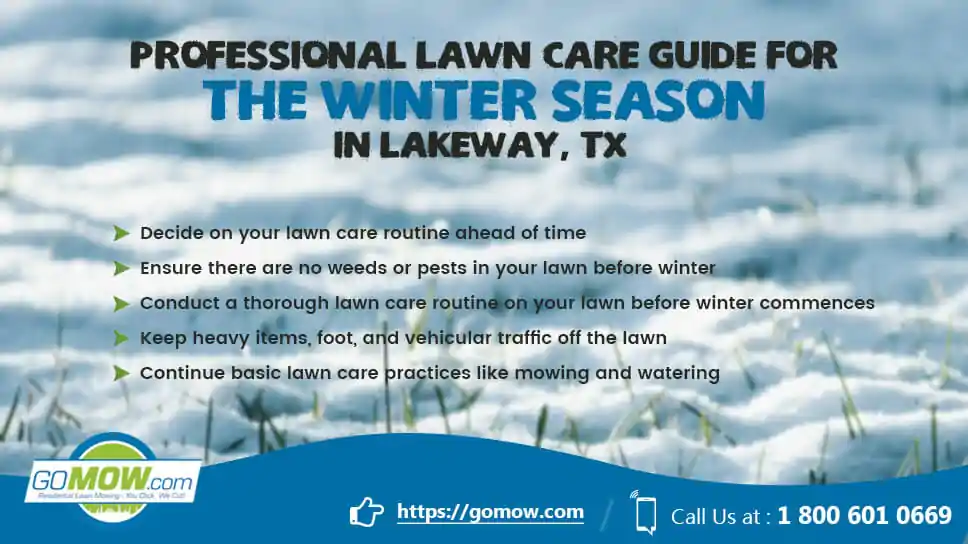 professional-lawn-care-guide-for-the-winter-season-in-lakeway-tx