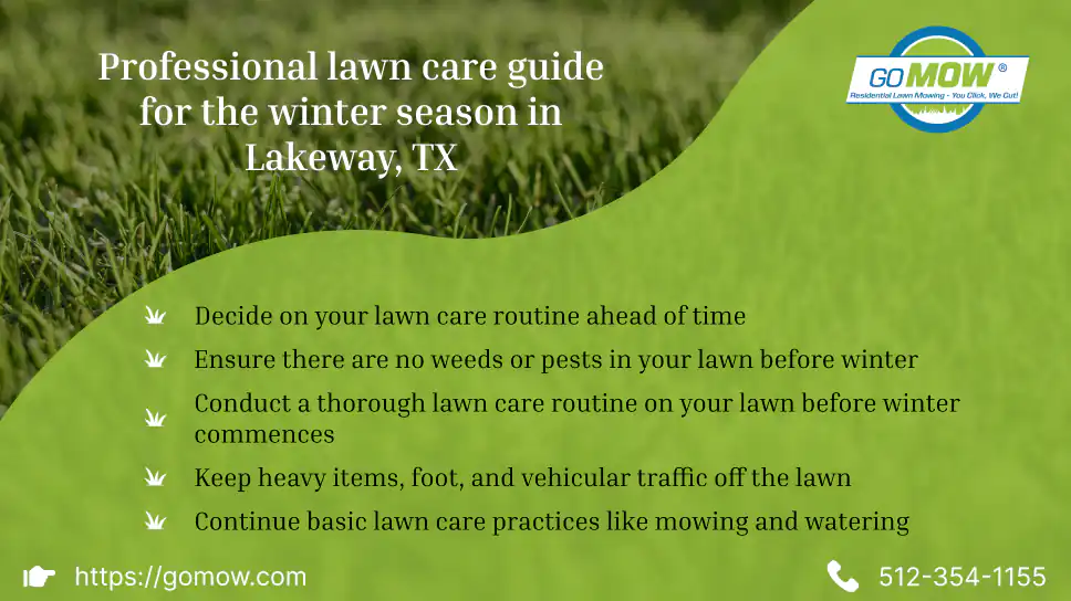 Professional Lawn Care Guide For The Winter Season In Lakeway, TX