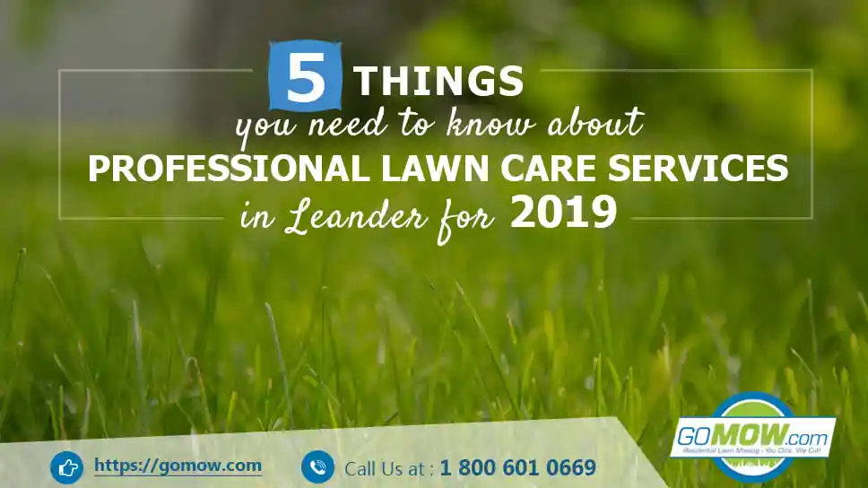 5-things-you-need-to-know-about-professional-lawn-care-services-in-leander-for-2019
