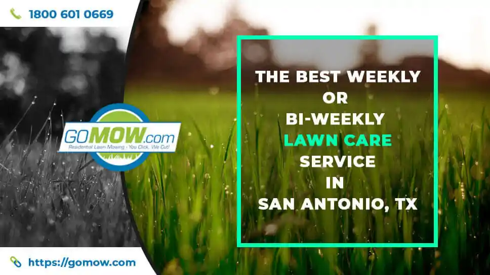 the-best-weekly-or-bi-weekly-lawn-care-service-in-san-antonio-tx
