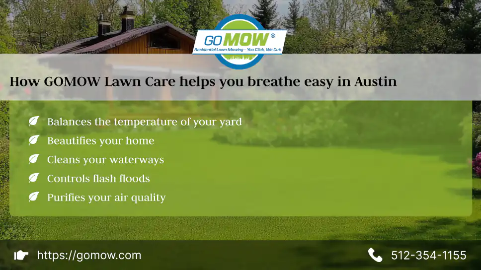how-gomow-lawn-care-helps-you-breathe-easy-in-austin
