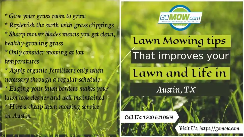 Lawn Mowing Tips That Improve Your Lawn And Life In Austin