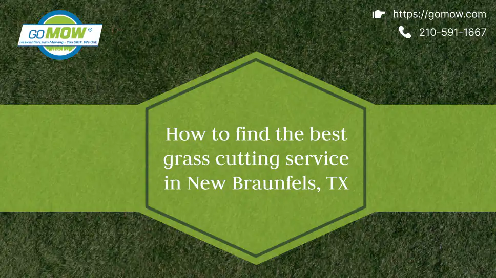 How To Find The Best Grass Cutting Service In New Braunfels, TX