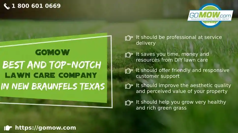 GoMow – Best And Top-notch Lawn Care Company In New Braunfels, Texas