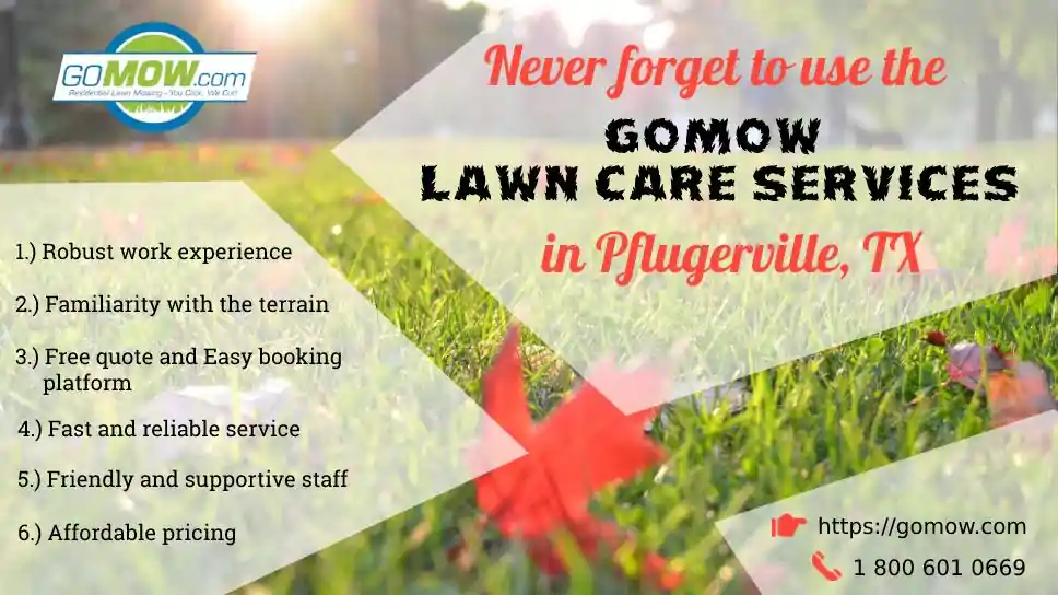 never-forget-to-use-the-gomow-lawn-care-services-in-pflugerville-tx-for-2020