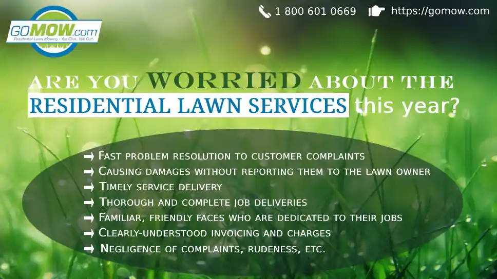 are-you-worried-about-the-residential-lawn-services-this-year