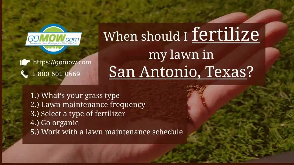 When Should I Fertilizer My Lawn In San Antonio, Texas?