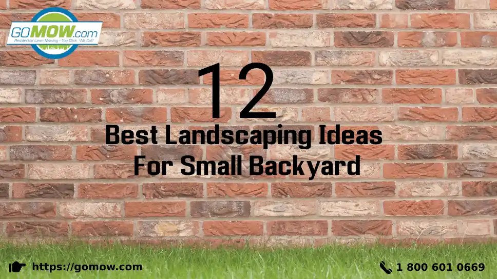 12-best-landscaping-ideas-for-small-backyard