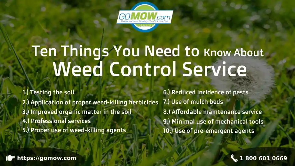 ten-things-you-need-to-know-about-weed-control-service