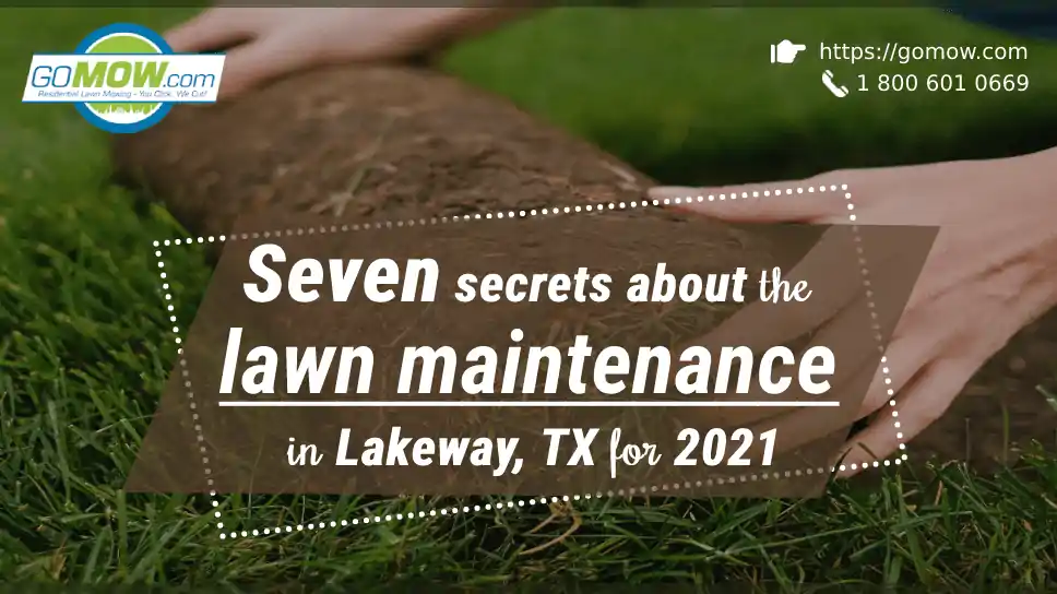 Seven Secrets About The Lawn Maintenance In Lakeway, TX For 2021