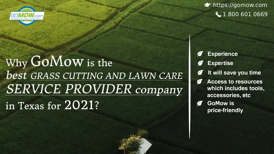why-gomow-is-the-best-grass-cutting-and-lawn-care-service-provider-company-in-texas-for-2021